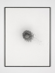 Rosette, 2013 exhaust emission on paper, mounted on linen